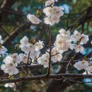 아침풍경 이미지