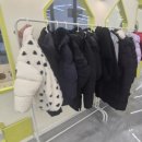 고롱고롱 이미지