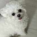 (주)가람그린 이미지