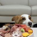 피더독 네이버블로그