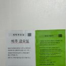 성남 락페이스 클라이밍 강습후기 삼지점방식과 크럭스 도전! 직장인 취미활동 추천