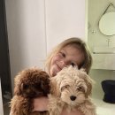 더편한동물병원 이미지