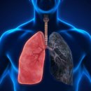 웨이트마스터GYM 이미지