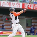김주현 카카오 검색결과
