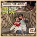 (주)신세계 시코르 타임스퀘어점 | [영등포 주렁주렁 타임스퀘어점]도심 속 실내 동물원 탐험기!