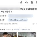 캐시살롱 | Wedding step 11-4. 웨딩피치 모바일 청첩장 후기