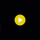 สลักจิต 刻骨铭心 이미지