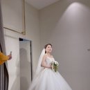 마리스포사앤아뜰리에레이나