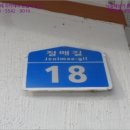 영월-31