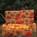 백년 농장 이미지