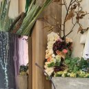 디자인드림 - 아산시 | 디자인드림