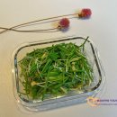 달래홀릭 이미지