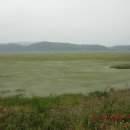 우포늪 자전거 대여소 이미지