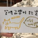 현풍동물병원 이미지