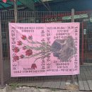 엘뮤직음악교습소