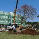 외돌개 나라 이미지