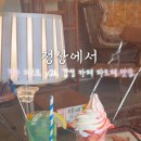 로불헤어샵