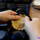 파이올린 이미지