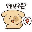 히피펑키클럽 이미지