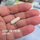 1028 | [2025-1028] 스위치온 다이어트 3주차 후기 (누적 -7.47kg)