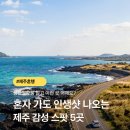 별방진하우스 | 제주 혼행 갈 때 성산일출봉 말고 이런 곳 어때요?인스타 감성 여행 장소 모음