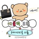W15: 예물가방 디올 레이디백 미듐 구매후기(+내돈내산/강남신세계)