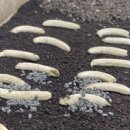 네이처테이너 농업회사법인 주식회사 이미지