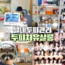 75 | 별내두피관리 30년 경력 [두피 치유살롱] 솔직후기!