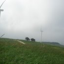 새이모퉁이 이미지