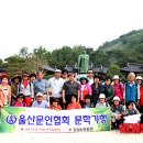 (주)대종사 이미지