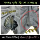 연제구-085 | 085_엉덩이 찢어진 바지, 정장바지,양복바지 수선후기_부산 옷수선 잘하는 집