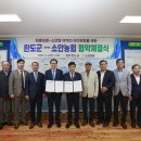 소안의섬