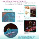 공원옆동물의료센터 이미지