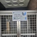 장안24 | 수원 장안구청 공유오피스 카페24 창업센터 다녀온 후기!