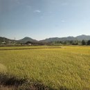 갈지마을다목적센터 뒤 | 경북 의성 가볼만한곳 금마늘체험휴양마을 촌캉스 숙소 1박2일 코스 후기