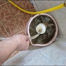 수원-1413 이미지