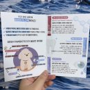 멍멍이네 | [멍멍이이대학 강아지영양제] 포우 바아이오틱스 덴탈 후기