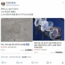 20212305 권지윤 4호 기사 이미지