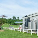 신흥목장 이미지