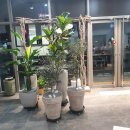 더플레르학원