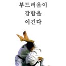 브라질무술아카데미 | 강남 이희성 주짓수 무료 체험 후기