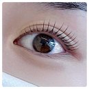 수원-0385 이미지