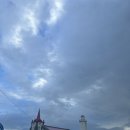 헬스 달리아 이미지