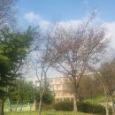 어인남로 이미지