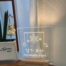 설기조아 이미지