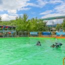 삼풍수영장 이미지