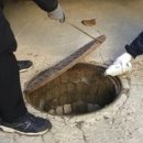 기동반-12 이미지