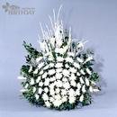 허브향기 이미지