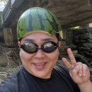 아껴줄개 | 이를테면 너를 오래된 선풍기처럼 아껴