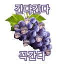 팁 드릴께요! 이미지